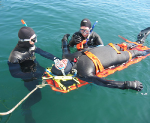 Usluge javnim službama